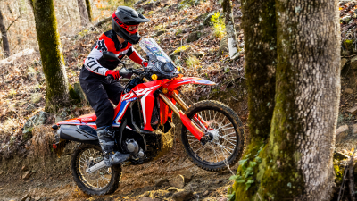 A rider on a trail in the woods. 