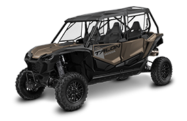 Talon 1000X-4P